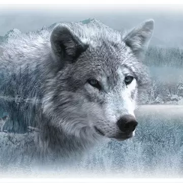 Winter Wolf - Panel
