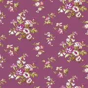 Veranda - Trailing Vine Plum