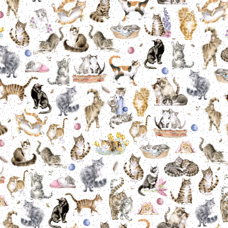 Whiskers & Paws - Directional Cats white