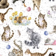 Whiskers & Paws - Directional Cats white