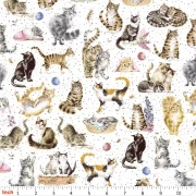 Whiskers & Paws - Directional Cats white