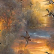 Whitetail Country - Evening Soar