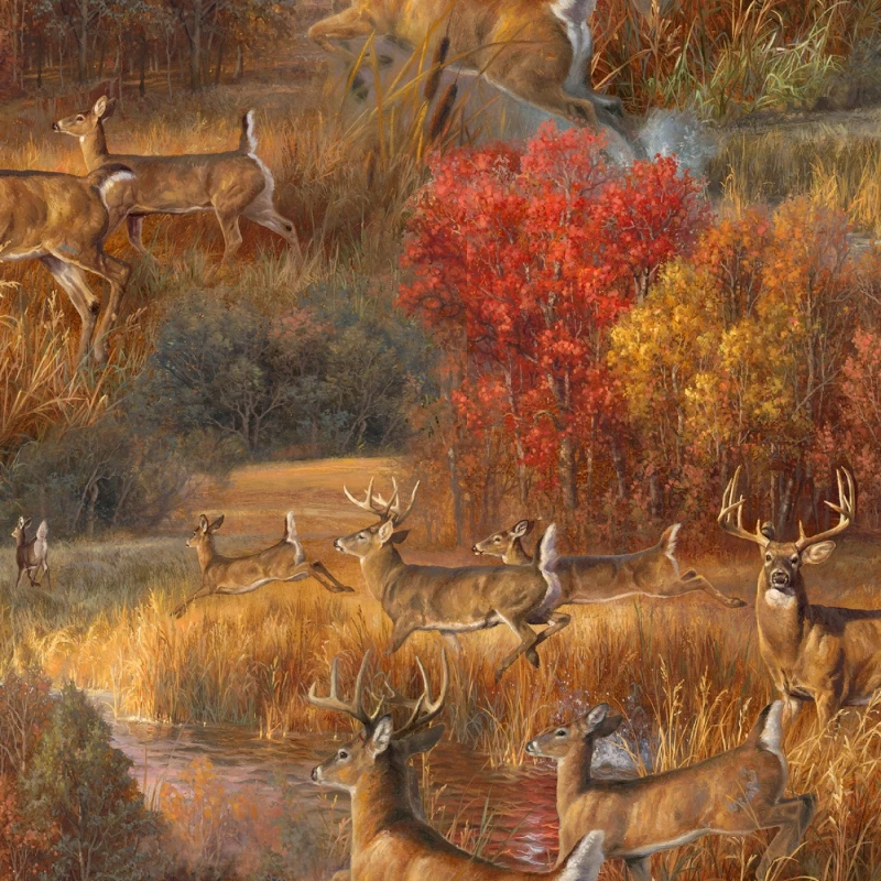 Whitetail Country - Frolicking Deer