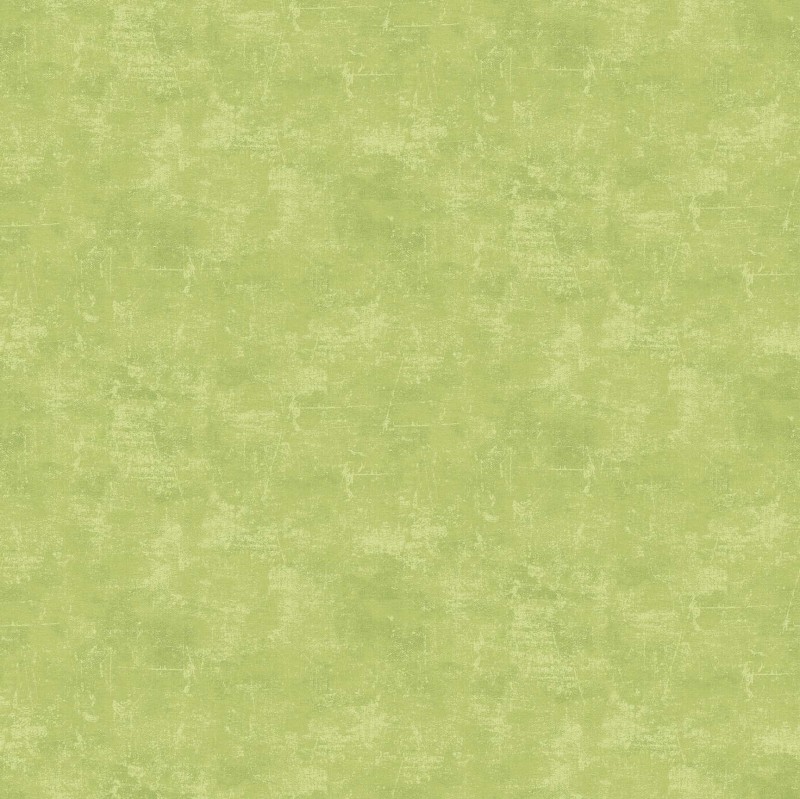 Kiwi - Canvas Texture