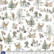 Woodland Whispers - Wildtiere