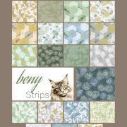 beny Strips Winterstone