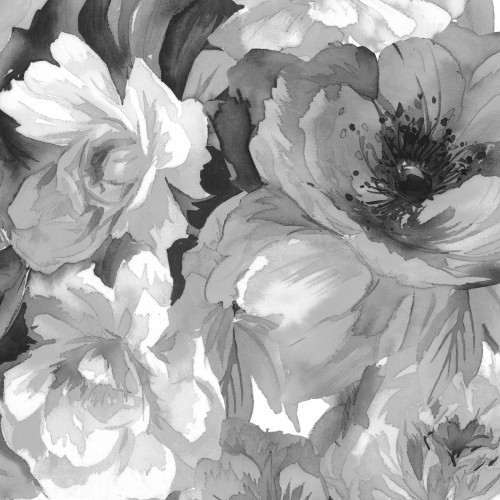 große Rosen schwarz weiß - dunkel