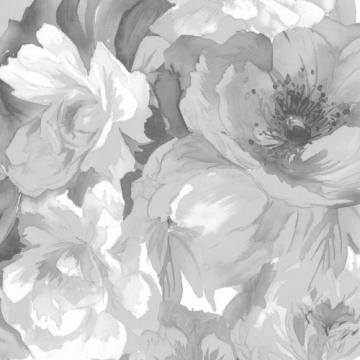 große Rosen schwarz weiß - hell