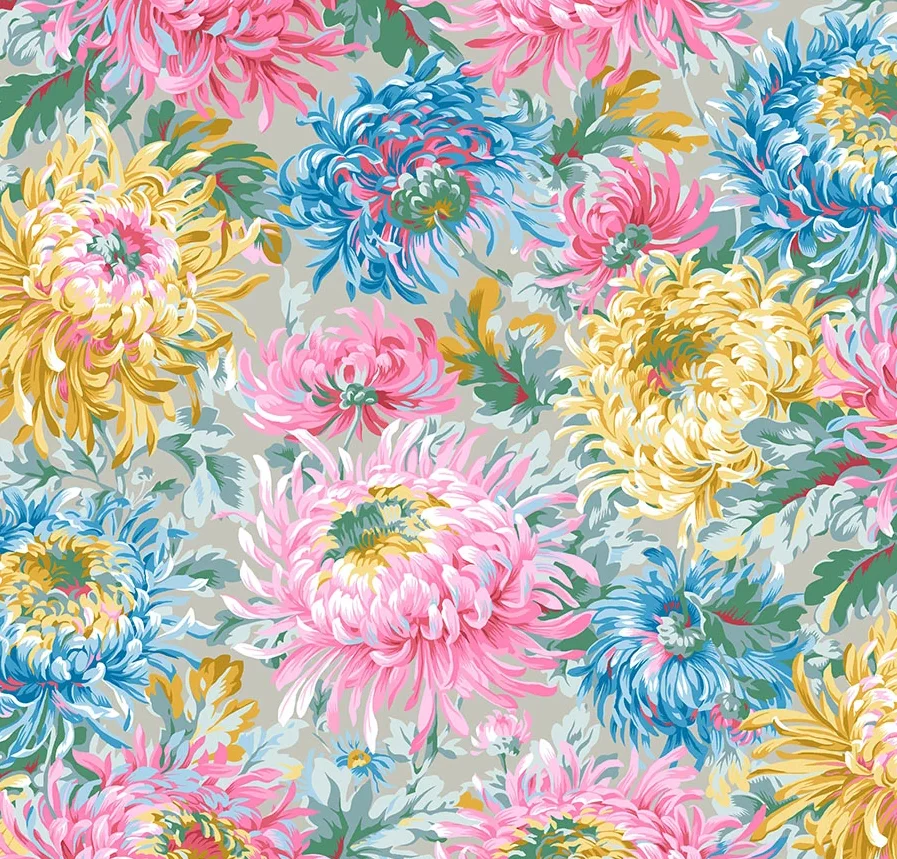 Shaggy Chrysanthemen Blüten grey