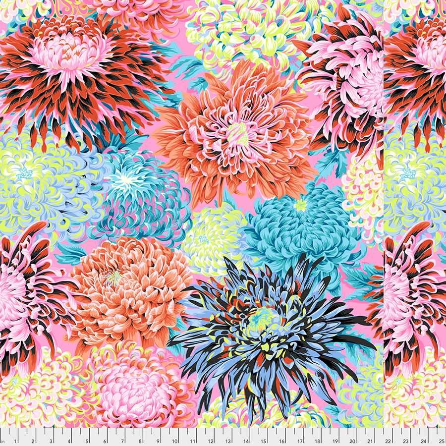 Japanese Chrysanthemen Blüten contrast