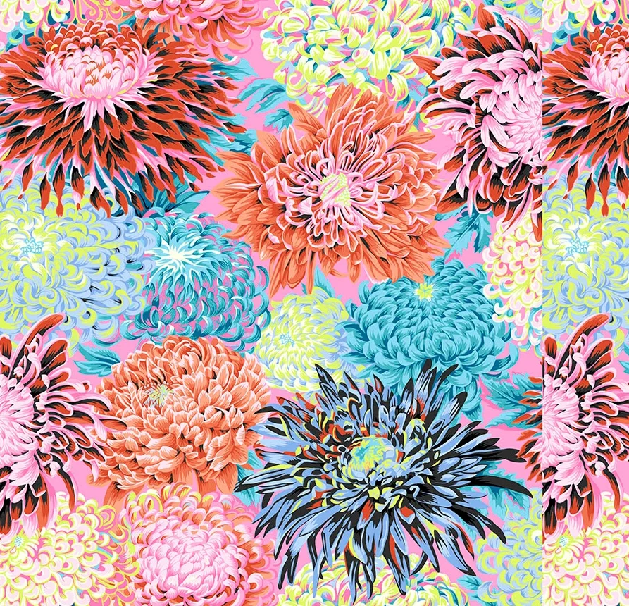 Japanese Chrysanthemen Blüten contrast