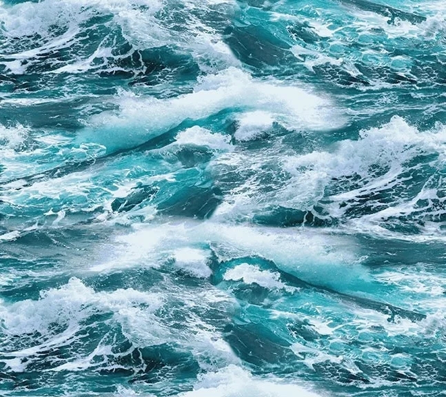 Coastal Guardians - Sturm Meer