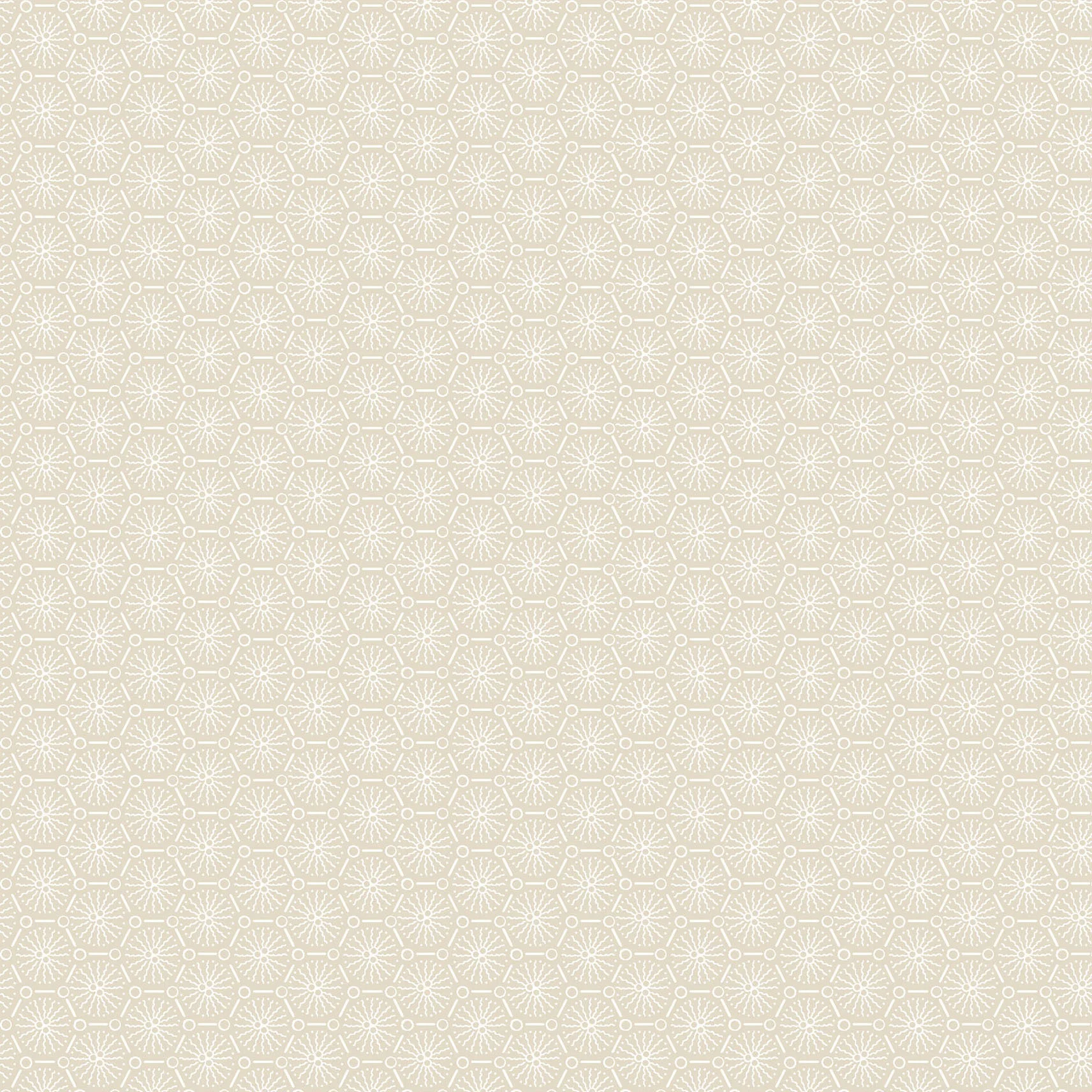Courtland - Lace Cream