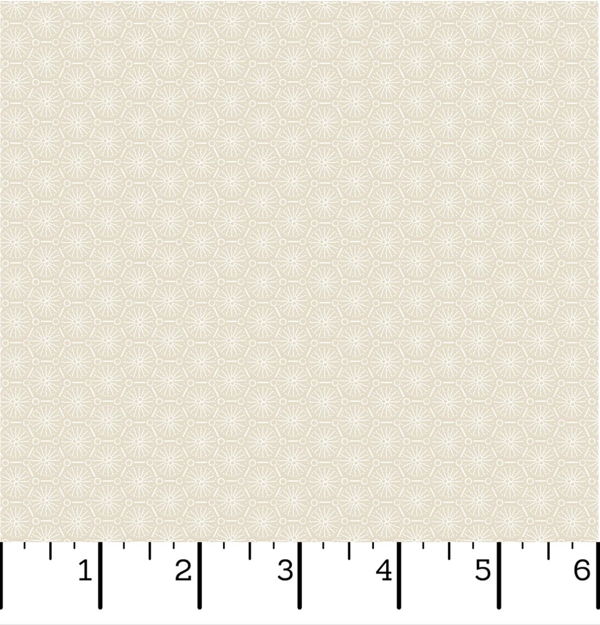Courtland - Lace Cream