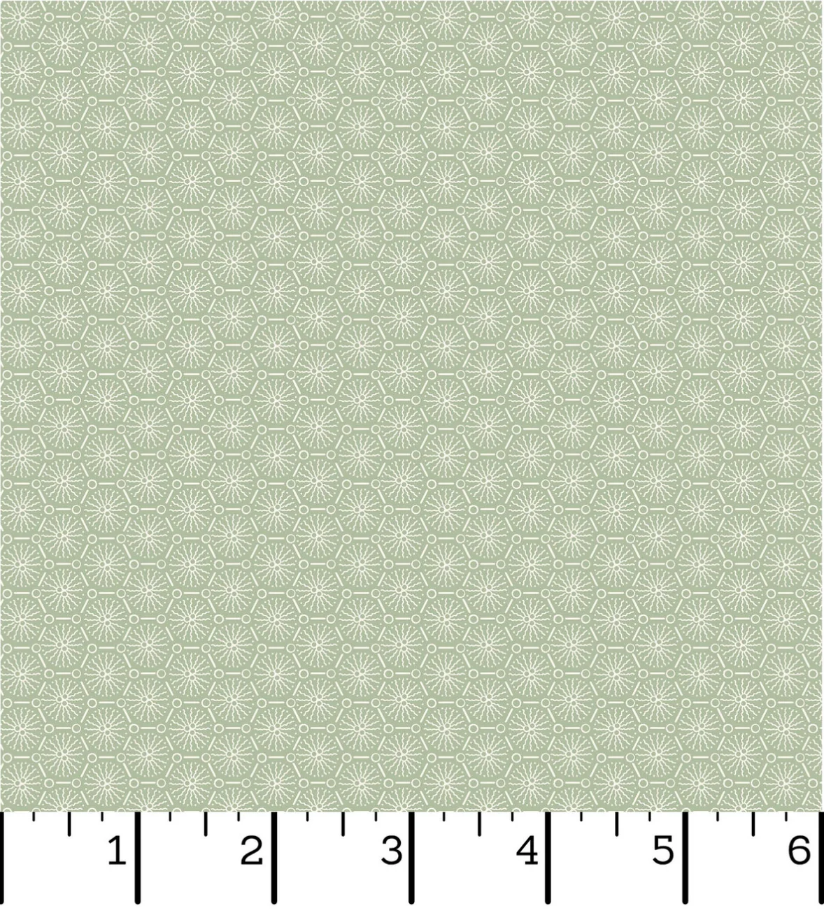 Courtland - Lace Sage Green