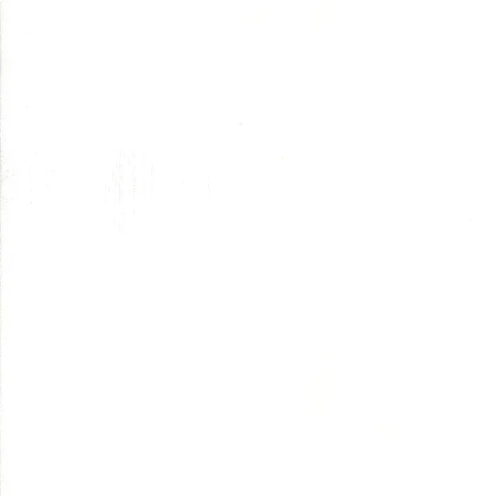 Grunge - White Paper (101)