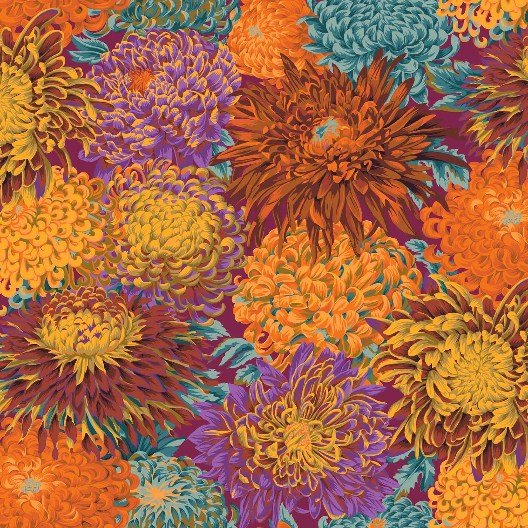 Japanese Chrysanthemen Blüten Autumn