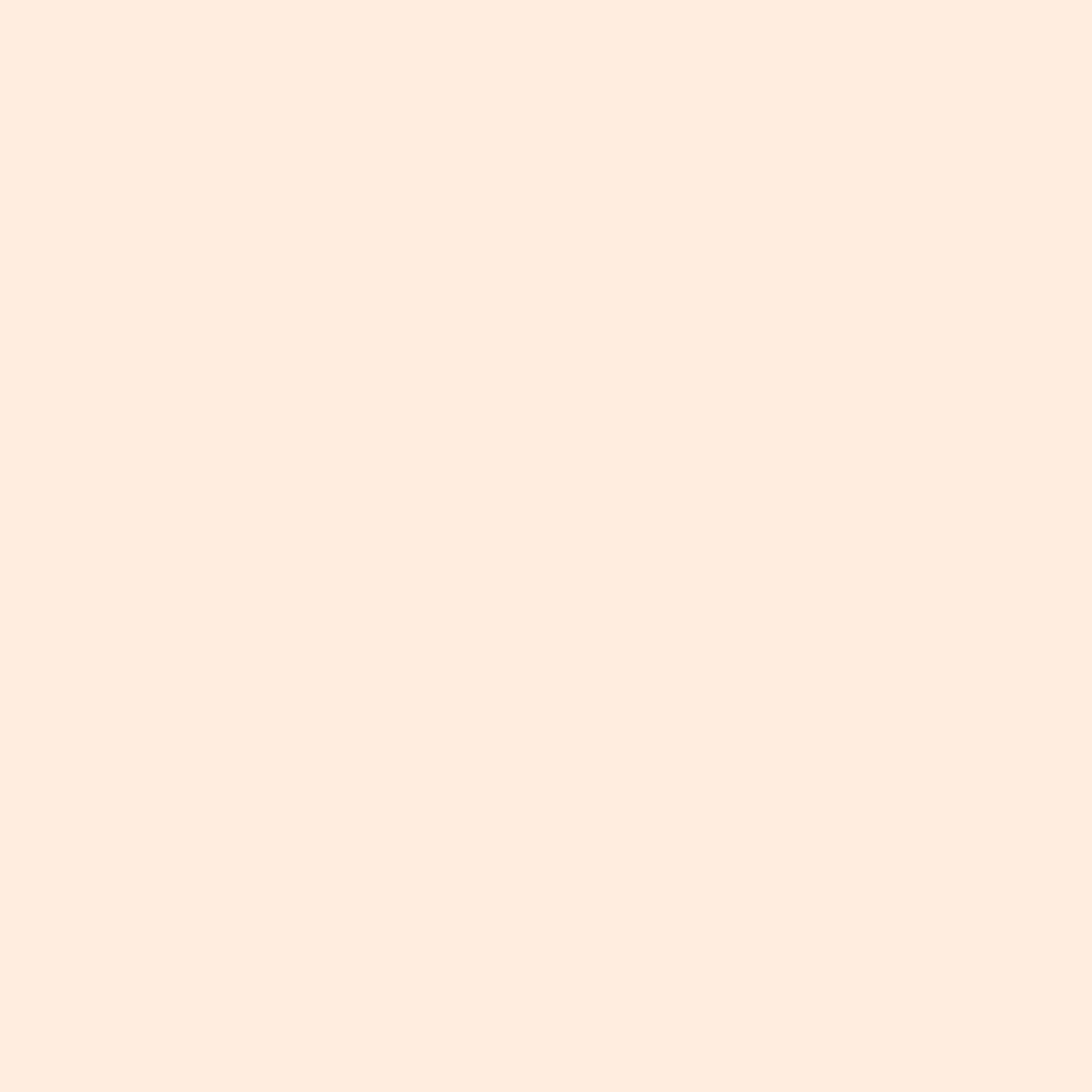 Paintbrush Solids - Shell Pink