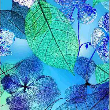 verschiedene Blätter auf blau grün - Neon Nature