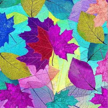 Blätter - ein FarbenFeuerwerk - Neon Nature