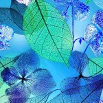 verschiedene Blätter auf blau grün - Neon Nature